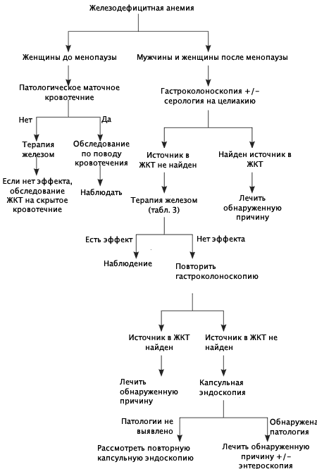 диагностика железодефицитной анемии